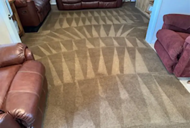 Clean carpet with carpet lines